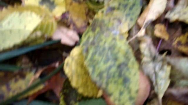 Завалів підпеньки смотреть онлайн