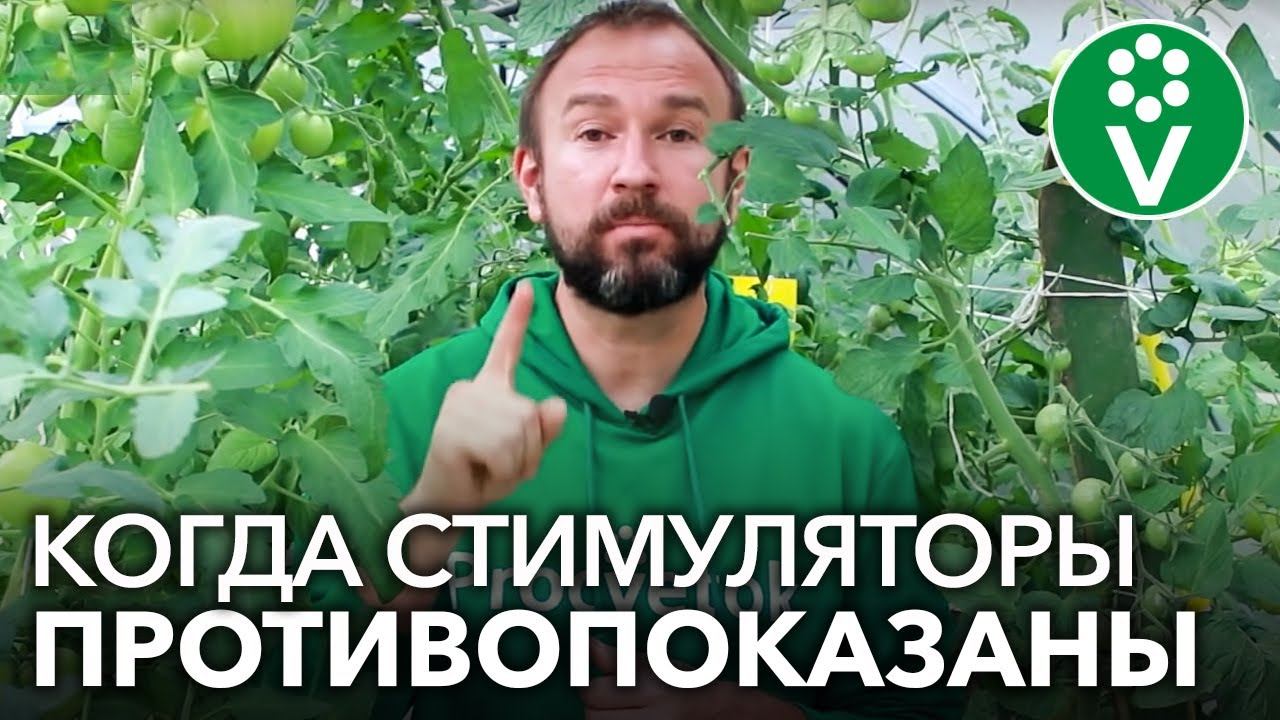 НИКОГДА НЕ ИСПОЛЬЗУЙТЕ ЭПИН И ЦИРКОН, если… смотреть онлайн