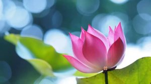 Медитация «Абсолютная Любовь» - Руснак Олег