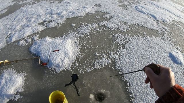 Маропедка 40 мм 48 мм 120 градусов. Зимняя блесна купить. смотреть онлайн