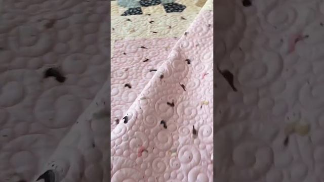 Строительные Чудеса