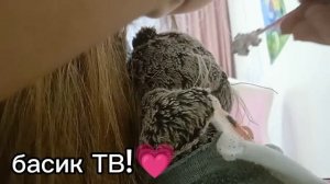 влог с басиком 💗|Басик заболел?!?|