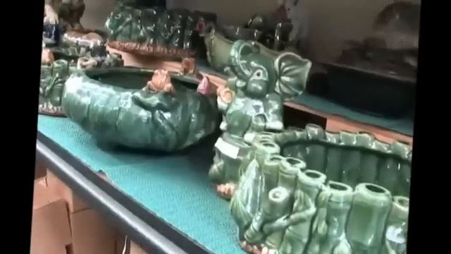 Money Tree Plants - Wholesale Lucky Bamboo смотреть онлайн