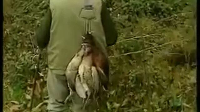 Охота на дичи