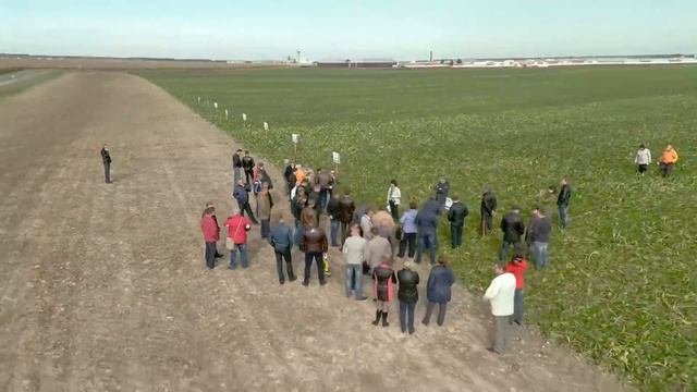 Уборка кукурузы комбайном CLAAS | Съемка с квадрокоптера смотреть онлайн