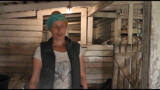 Выбираем Корова или Коза / Сажаем туйки смотреть онлайн