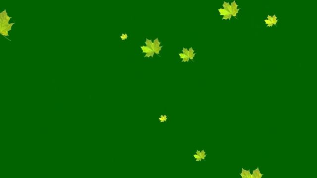 Green Screen Falling Leaves, Maple Background - Хромакей Осень Листья Клена Падают смотреть онлайн