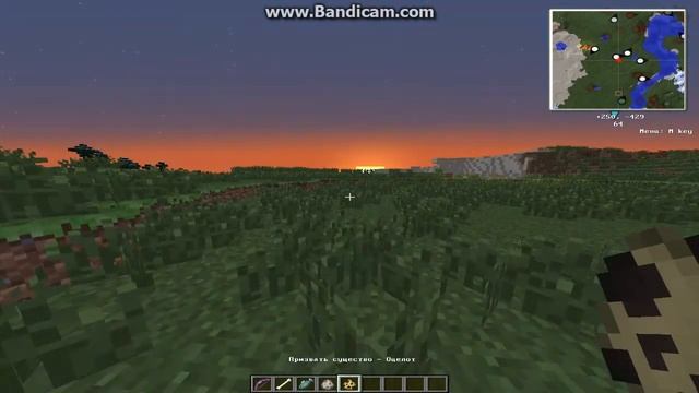 ТУТОРИАЛЛ ПО MINECRAFT КАК ПРИРУЧИТЬ СОБАКУ