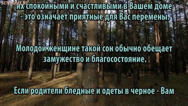 К чему снится Родители сонник, толкование сна смотреть онлайн
