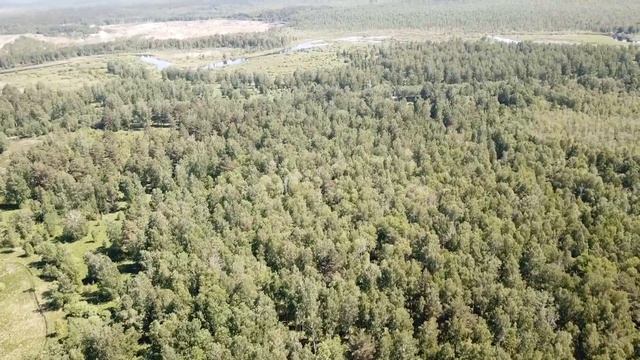 Тюмень. Винзили. поселок "Сказка". Участки на берегу реки Пышма. Участки в сосновом бору. смотреть онлайн