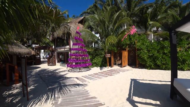 Отель Martina beach Мексика, шезлонги смотреть онлайн
