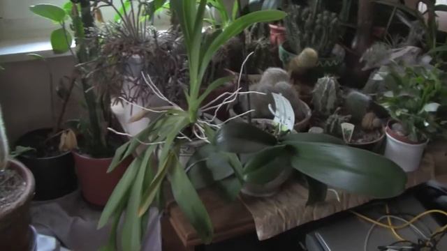 Canon Legria HF M307 - Test 2 смотреть онлайн
