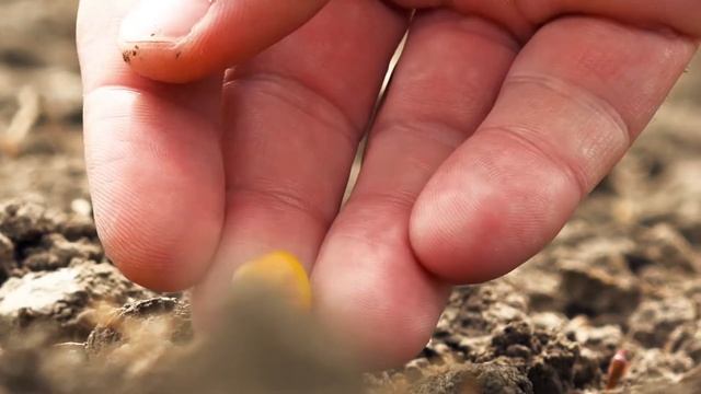 JOTJ FARM Episode смотреть онлайн