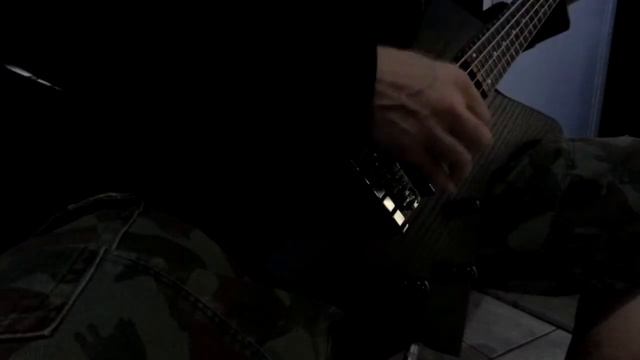 Carnage Custom Guitars Swamp Ash Bass Body смотреть онлайн