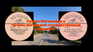 🐺Чеченские песни 🐺 Султан Магомедов🐺