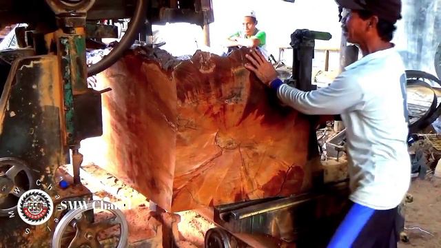 Sawing And Cutting Spectacular Giant Logs || #Sawmill