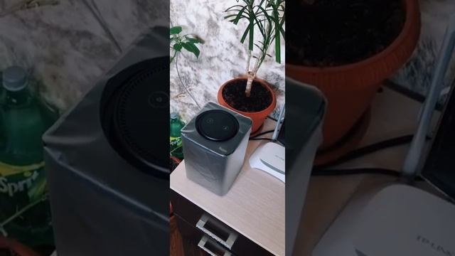 ЯНДЕКС СТАНЦИЯ АЛИСА ГРУСТИТ ? смотреть онлайн