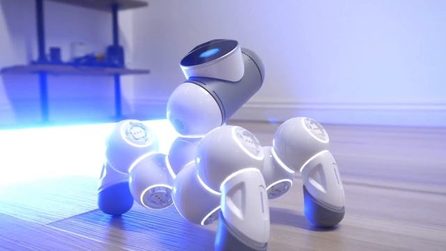 python learning roadmap смотреть онлайн