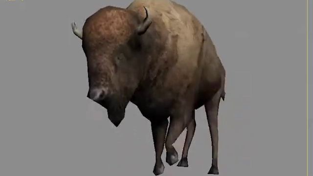 Evolution: Indian Hunter - Fleeing Bison | Scorpius Forge смотреть онлайн