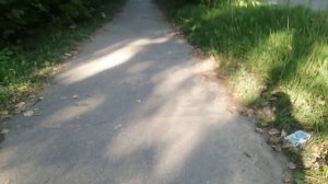 Вера и Настя маленькие кинооператоры