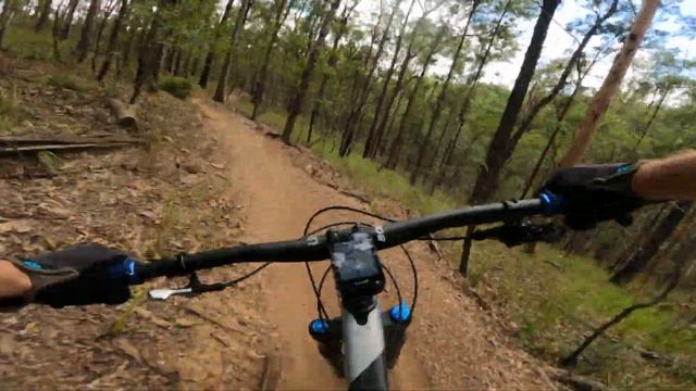 Testing out New Features and New Gimbal on Bunya's Best Trails смотреть онлайн