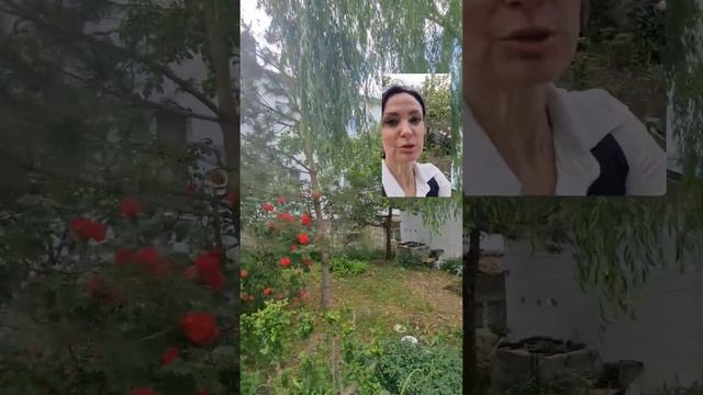 Краткий видеообзор детского лагеря "Электрон" в пос.Сукко Анапского района смотреть онлайн