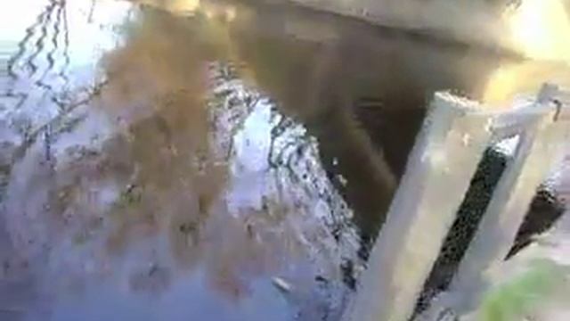 Вышний Волочёк щука смотреть онлайн