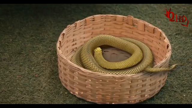 Naagin 6 title song _ Tera pyar jeewan ka смотреть онлайн