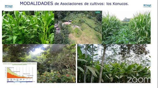 Conferencia Avances de la Ciencia Agroecológica смотреть онлайн