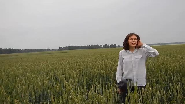 С. Есенин " Шаганэ ты моя, Шаганэ" смотреть онлайн