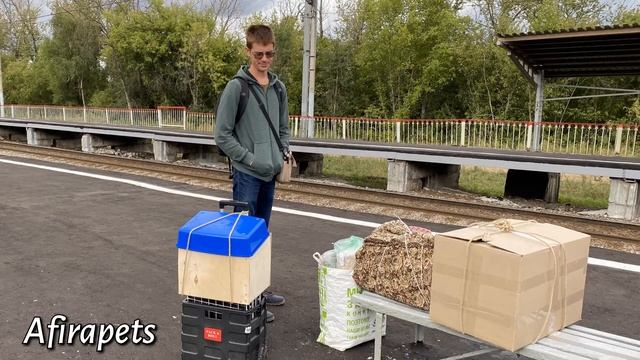 ПЕРЕЕХАЛИ В РАМЕНСКОЕ/ РАМЕНСКОЕ ЛУЧШИЙ ГОРОД ПОДМОСКОВЬЯ/ СЭМИК И ЧЕРРИ смотреть онлайн
