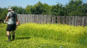 Штиль ФС 250 в работе