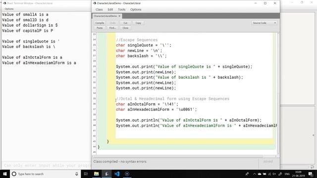 Character & String Literals | ICSE Computer Applications | Java & BlueJ смотреть онлайн