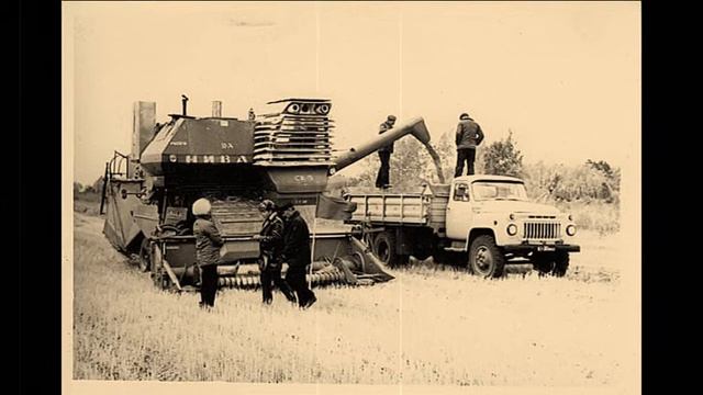 Целинная МИС смотреть онлайн