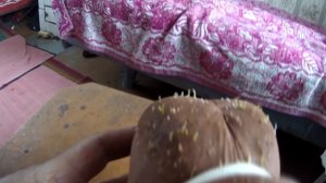 Травянчик, выращенный своими руками. Ёжик.