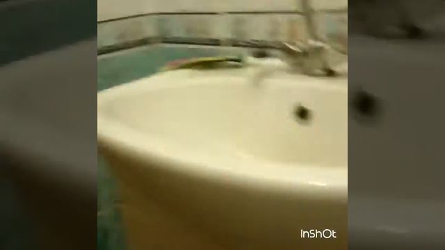 Моё ранее утро смотреть онлайн