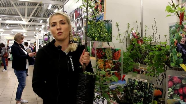 Как выбрать и посадить яблоню смотреть онлайн