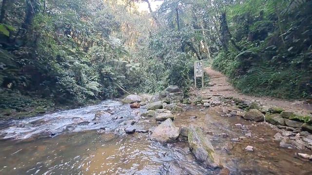 Esse Lugar vc Precisa Conhecer смотреть онлайн