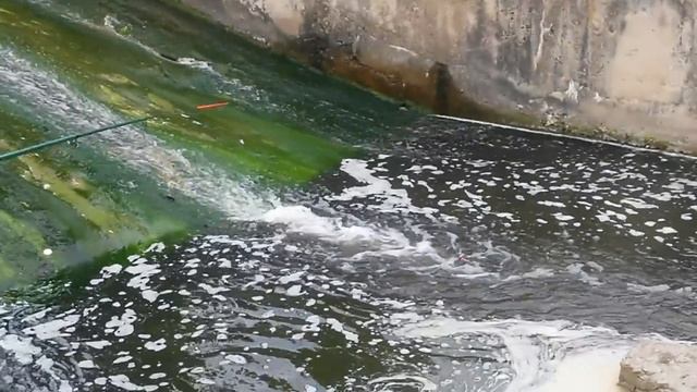 Вот как надо ловить рыбу.(Смотреть до конца!)