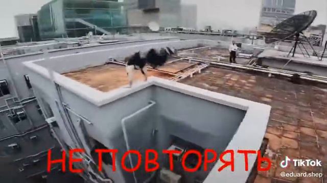 паркур по крышам , вот как хорошо было пару лет назад😊 смотреть онлайн