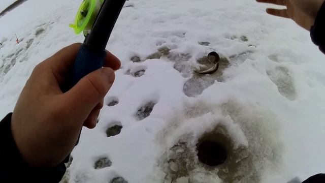 Ловля хариуса на большой реке с прикормкой. Хариус и чеснок . вид из под воды смотреть онлайн
