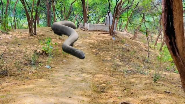 Big Python Snake In Real Life |Real 3D World| смотреть онлайн
