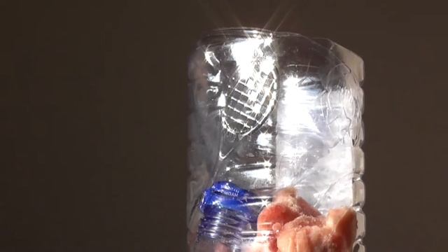 КАК ВЫРАСТИТЬ ОПАРЫША? / Опарыш для рыбалки в домашних условиях, на даче / как сделать / технология