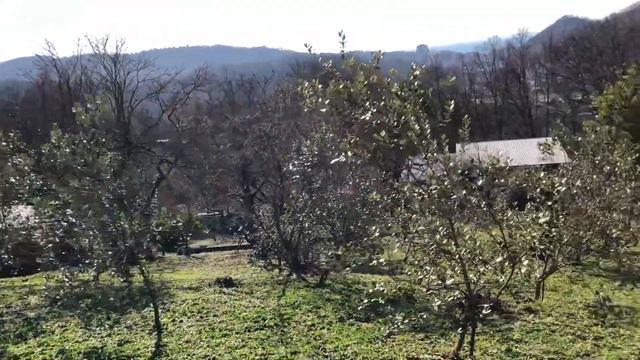 ДАГОМЫС ;9,5 соток ВИД НА МОРЕ смотреть онлайн