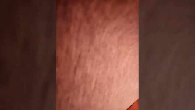 Как помыть улитку и завести🐌 смотреть онлайн
