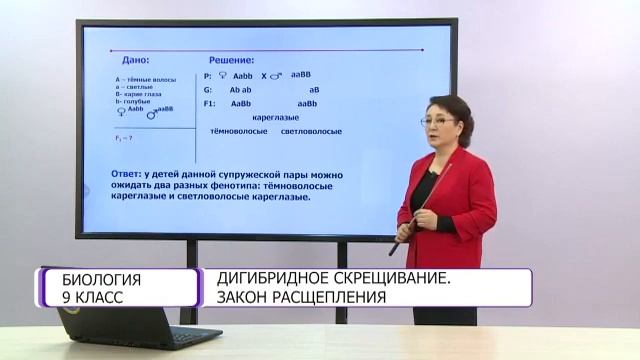 Биология. 9 класс. Дигибридное скрещивание. Закон расщепления /09.02.2021/ смотреть онлайн