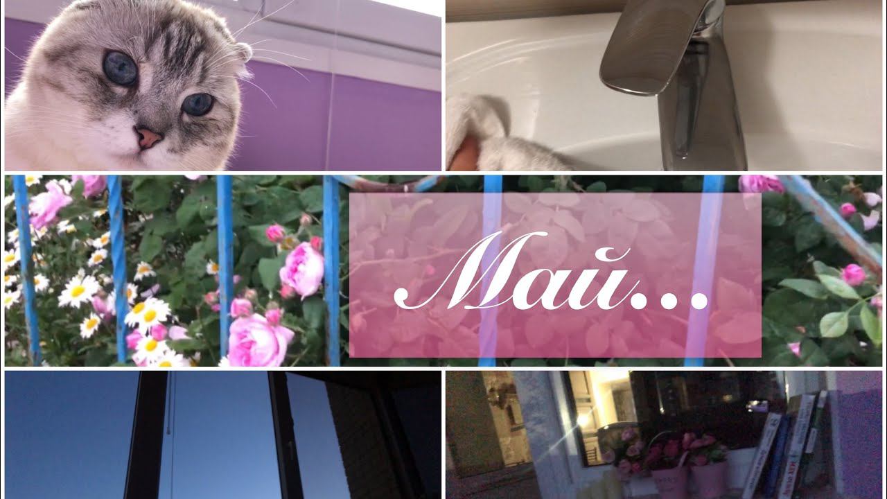 Неизданное за май/июнь// Как отмыть ванну без химии// Балкон для отдыха// Пеку безглютеновый хлеб смотреть онлайн