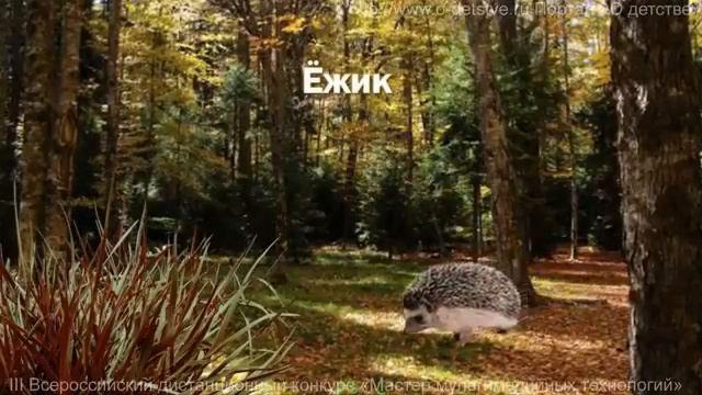 Как звери готовятся к зиме смотреть онлайн