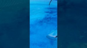 Как сделать бассейн с голубой водой.