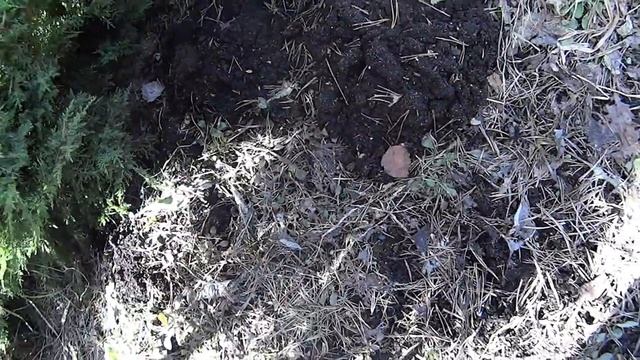 12 апреля 2021 года Открываю дачный сезон смотреть онлайн